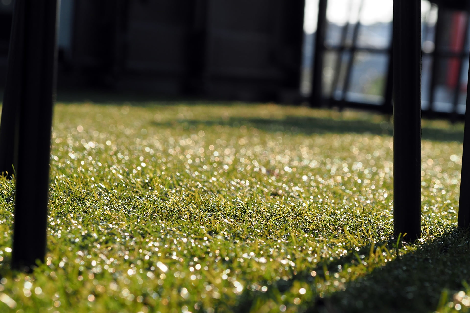 How Much Does Artificial Grass Cost And Installation Price